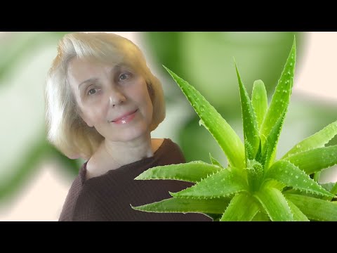 Больше ни один волос не упадет с головы! Уникальная маска с алоэ (aloe)