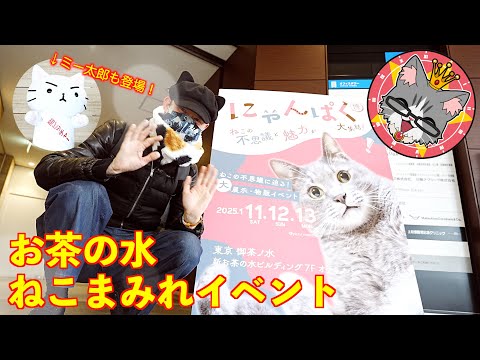【お茶の水・にゃんぱく】ねこまみれのイベントに行ってきました♪