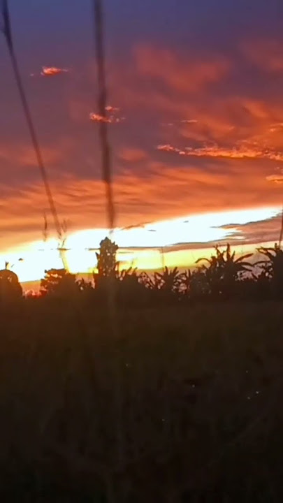SUNSET/STORY WA 30 DETIK# #aesthetic #storywa30detik #sunset #shorts