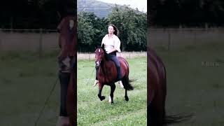 Hhhh New Stayle Girl Jump Slow Motion Climb Into Horse