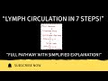Lymphatic Circulation Explained | Pathway, Function &amp; Flow of Lymph in Simple Terms