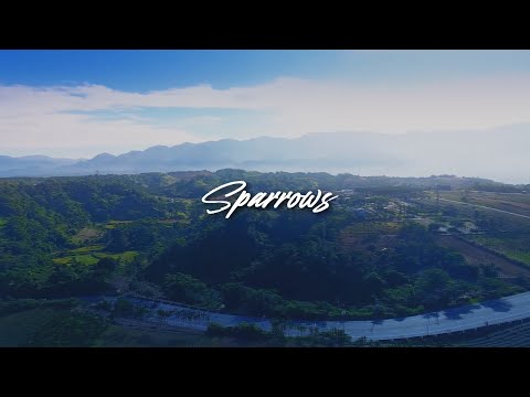 Cory Asbury - Sparrows (Lyric Video)