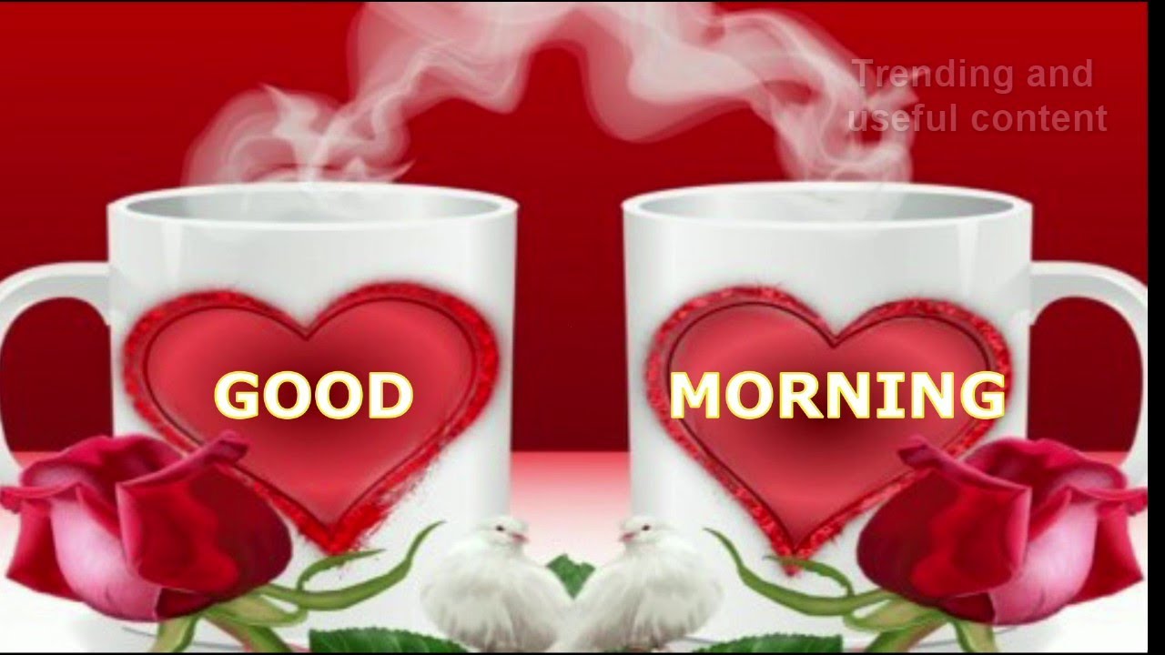 Cute Morning Status Video|Good Morning Status|Whatsapp Good morning ...