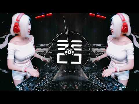 張紫豪-可不可以 X 全中文 '私貨' REMIX (DJ K)