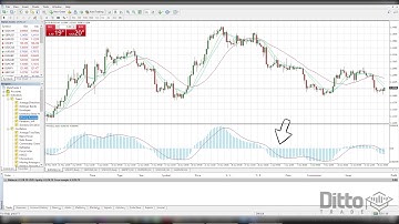 Master The Forex Market Using MACD and Histograms Full Tutorial