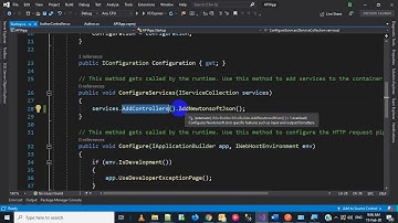 Asp Net Core RESTFUL API - XML Output Formatter