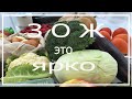 Покупка продуктов на неделю. ЗОЖ это ярко.#продуктынанеделю#покупкапродуктовнанеделю#зож#wowbody