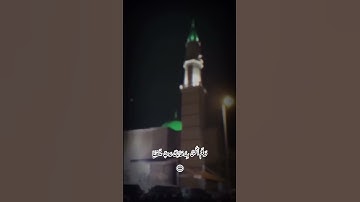 قال رب إني وهن العظم مني واشتعل الرأس شيبا  صوت جميل #تلاوة مميزة #راحة القلب