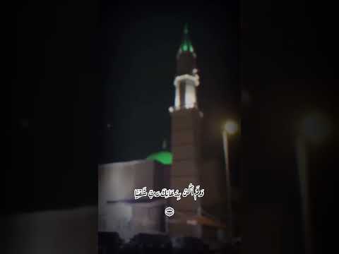 قال رب إني وهن العظم مني واشتعل الرأس شيبا صوت جميل تلاوة مميزة راحة القلب
