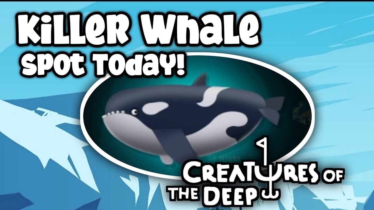 Killer Whale Spot Today July 10th 2023❗ Kraken Spot Today 