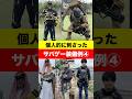 参考にしたいサバゲー装備の数々!Airsoft in Japan #airsoft #サバゲー#サバゲー装備