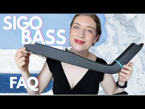 Sigo Bass Recorder Faq: Answering Your Questions!