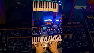 Moog Subsequent 37 Jam + Jupiter Xm  + Digitone #dawless ess #synth #electronicmusic #moog
