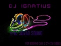 DJ IGNATIUS INDIAN WEDDING HOUSE MUSIC REMIX