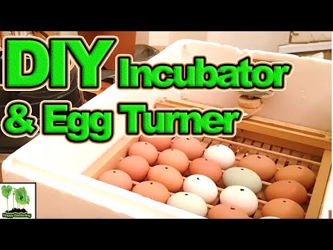 30 Chicken Eggs, 1 Homemade Incubator With Automatic Egg Turner (2018)