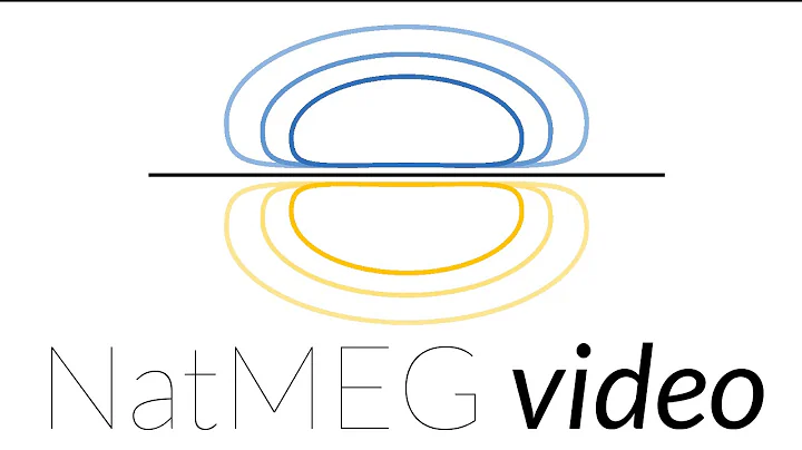 NatMEG lecture: Introduction to MEG (vs EEG) instr...