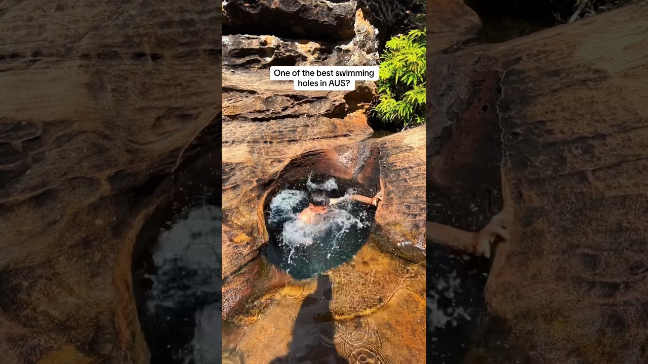 Would you swim through?? 