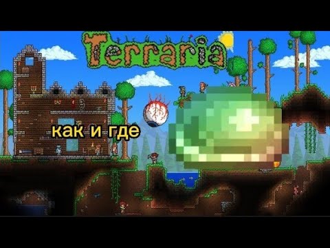 гайд как найти радужного слизня Террария!!