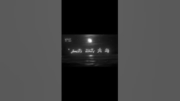 #سورة_النور #المصحف #quran #المنشاوي #اکسپلور #اکسبلور #القزابري