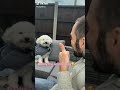 Funny Dog 🐕 | Virel Video 2026 | Cute 🐶