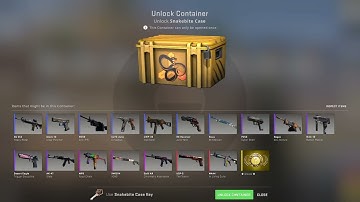 Opening A CSGO Case Everyday Until I Get Gloves  - Day 24