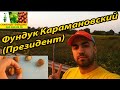 Фундук Карамановский (Президент) осмотр орехов.