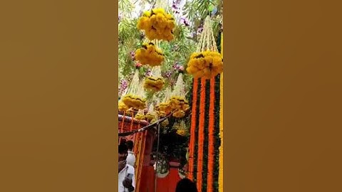 Rajrappa mandir status video for WhatsApp and Facebook