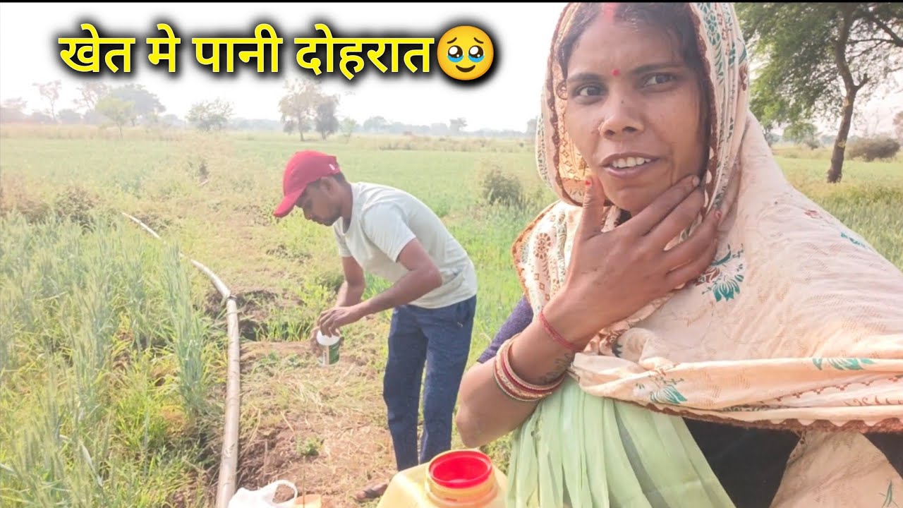 हमर कतना कन खेत हे 😊|| Chhoti Sahu Cg Vlog