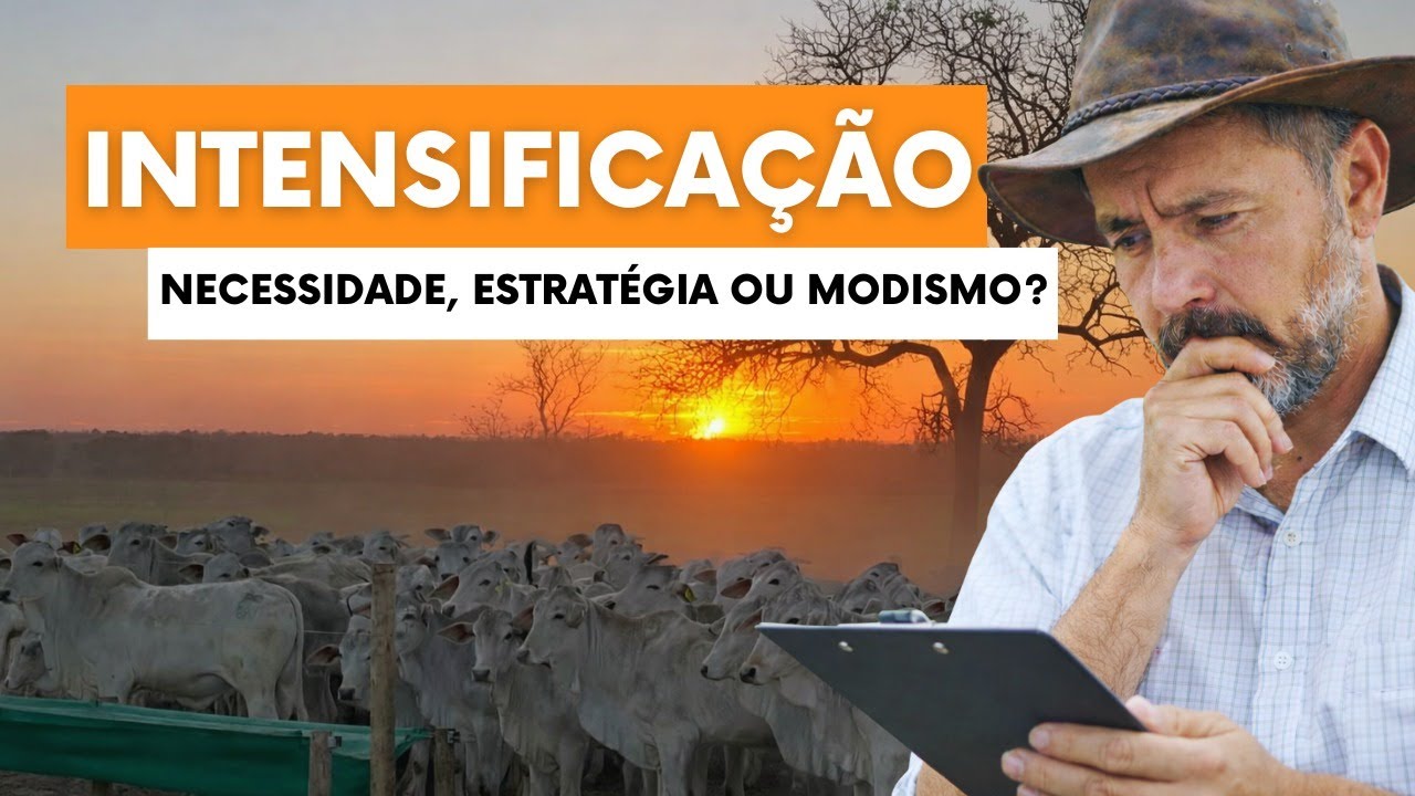Vídeo #71 - Intensificação na agropecuária: estratégia, necessidade ou só mais um modismo?