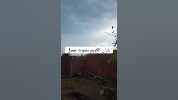 القرآن الكريم بصوت جميل #اكسبلور #تيك_توك #لايك #قرآن #ترند #راحة_نفسية #فولو