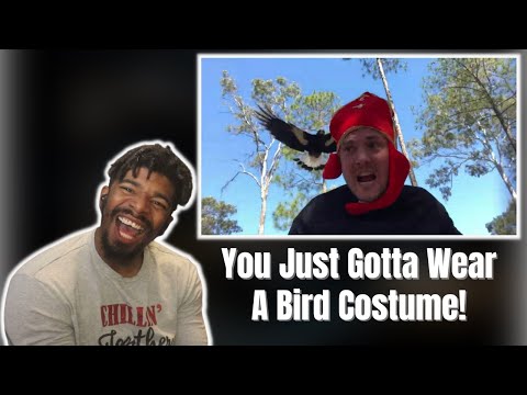 AMERICAN REACTS TO The Magpie Attack Experiment!