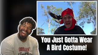 AMERICAN REACTS TO The Magpie Attack Experiment!