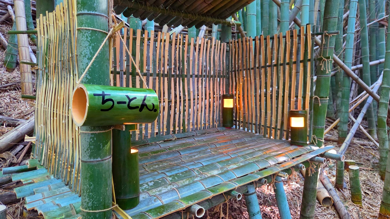 アライグマが大量に潜む竹林に秘密基地を作った結果・・・