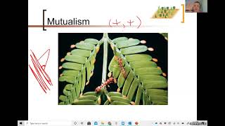 Symbiotic Relationships & Predation