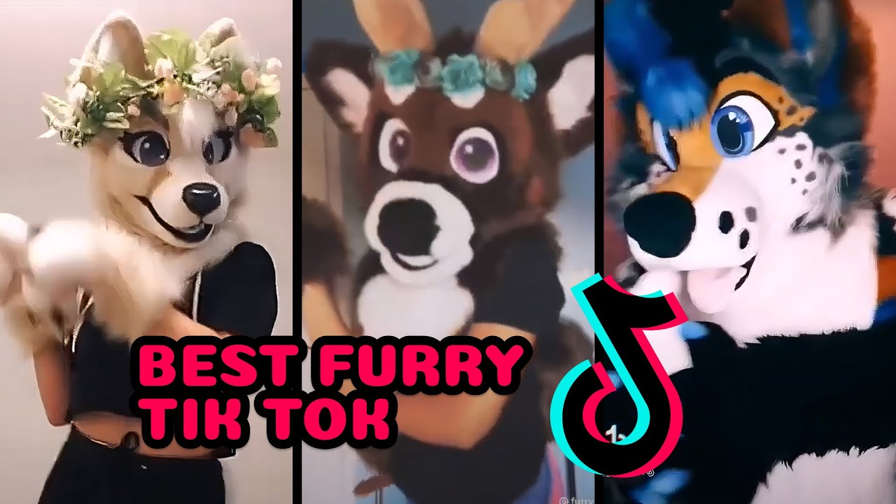 furrytiktok #fypage #flop #foryou #fyyyyyyyyyyyyyyyy #🆘️🆘️🆘️🆘️🆘️