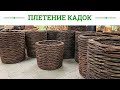 Русская ива. Мастер-класс. Плетение кадки из ивовой лозы.