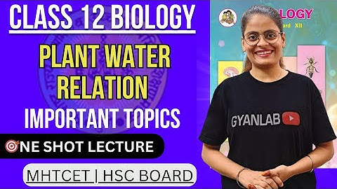 🔥One Shot Lecture | Chp - 6 - Plant Water Relation | HSC Board 2025 | Gyanlab | Anjali Patel