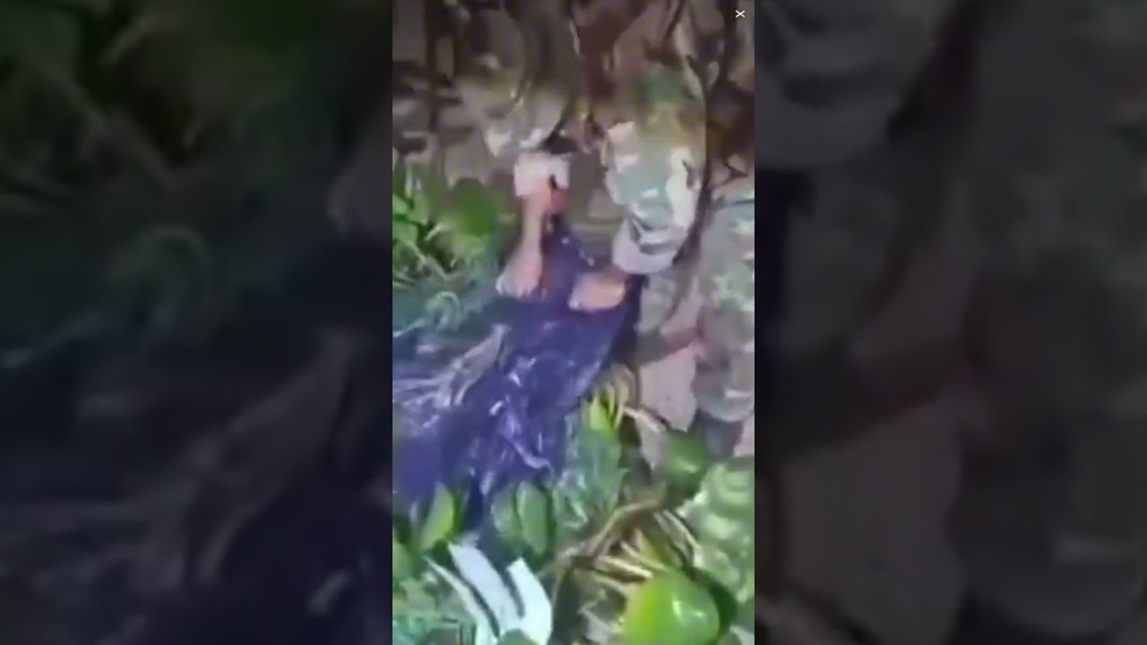 Smuggler disguised as PLANT caught in river