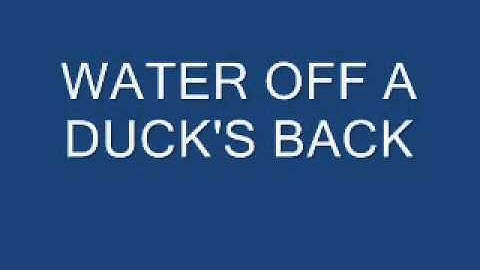 Water off a ducks back nghĩa là gì năm 2024