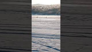 ледовые путешествия по Байкалу