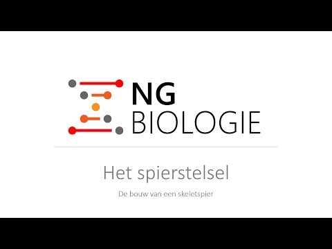 Video: Hoe wordt de term soort in het algemeen gedefinieerd?