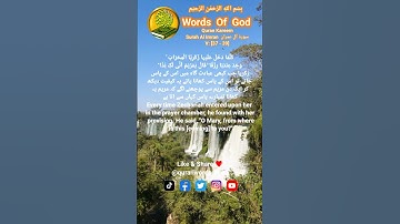 Quran Kareem Surah Al Imran سورة آل عمران V: [37 - 39] With Urdu And English Translation #allah