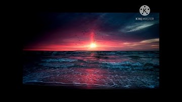 سورة النبأ بصوت القارئ /ريان الغفاري