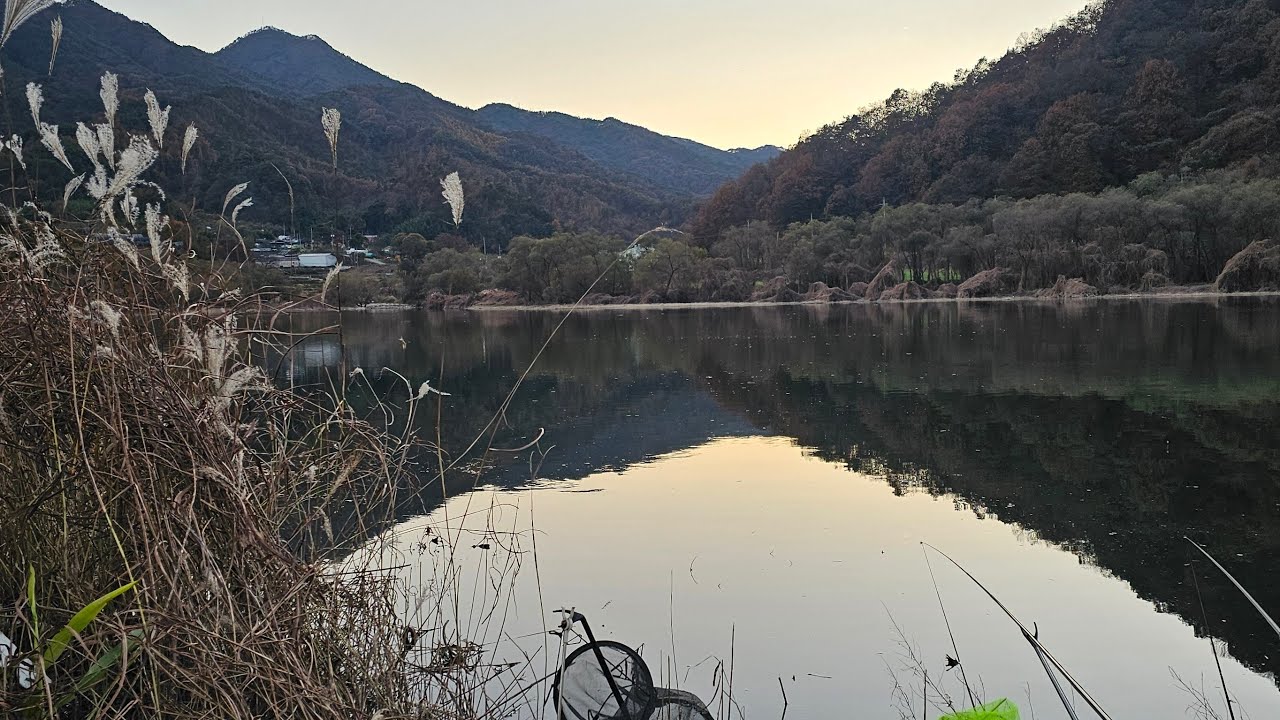 합천댐 낚시 라이브 스트리밍 중#월척 허리급 한수 #연장 근무중 #fishing #sports #entertainment