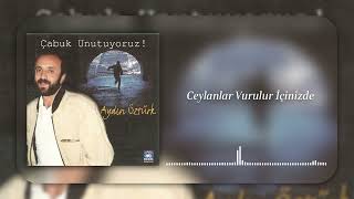 Aydın Öztürk - Ceylanlar Vurulur İçinizde Resimi