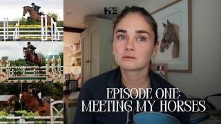 THE HORSE THAT CHANGED EVERYTHING | MEET MY HORSES EPISODE 1 - MO | MIRI HACKETT
