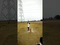 गजब का शॉर्ट 🏏🏏 #cricket #cricketlover #ipl #cricket #t20 #shortsviral #shorts