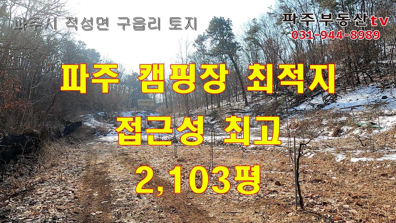 파주시 적성면 토지 캠핑장 최적지 2,103평 서울에서 접근성 최고 캠핑 글램핑장 추천토지 파주부동산tv