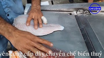 [CHICONG] Máy lạng da cá ba sa, cá tra, cá da trơn, cá rô phi, cá diêu hồng, thiết bị chế biến cá
