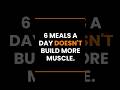 Your Meal Frequency Doesn't Matter! Protein &amp; Macros Truth #Shorts